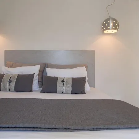 Apartment Edem Andros Town